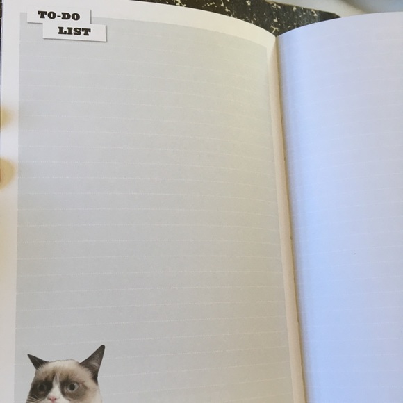 Grumpy Cat journal - Picture 5 of 5